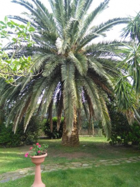 Отель La Palma  Мальяно В Тоскане
